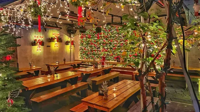 The garden in winter, a lit holiday flower wall