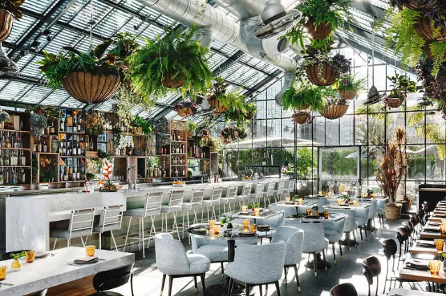 A bright full-service dining room with hanging plants