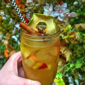 Pumpkin_Pie_Sangria
